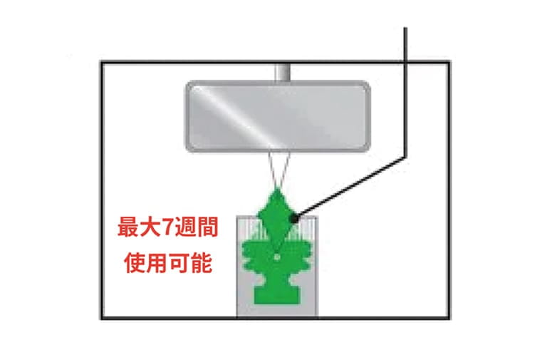 Step 03 3週間経ったら更に1cm引き出す