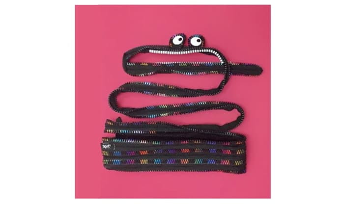 遊び心あふれるデザイン