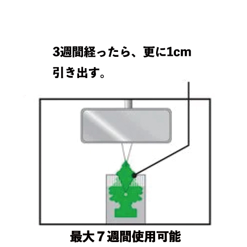 3週間経ったら、更に1cm引き出す。