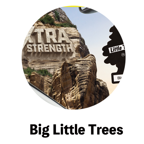 Big Little Trees